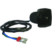 Trim/Tiltmotor Johnson Evinrude 15CV_1