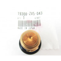 Thermostat d&#039;Origine Honda BF45