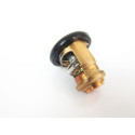 Thermostat d'Origine Honda 50CV 4T