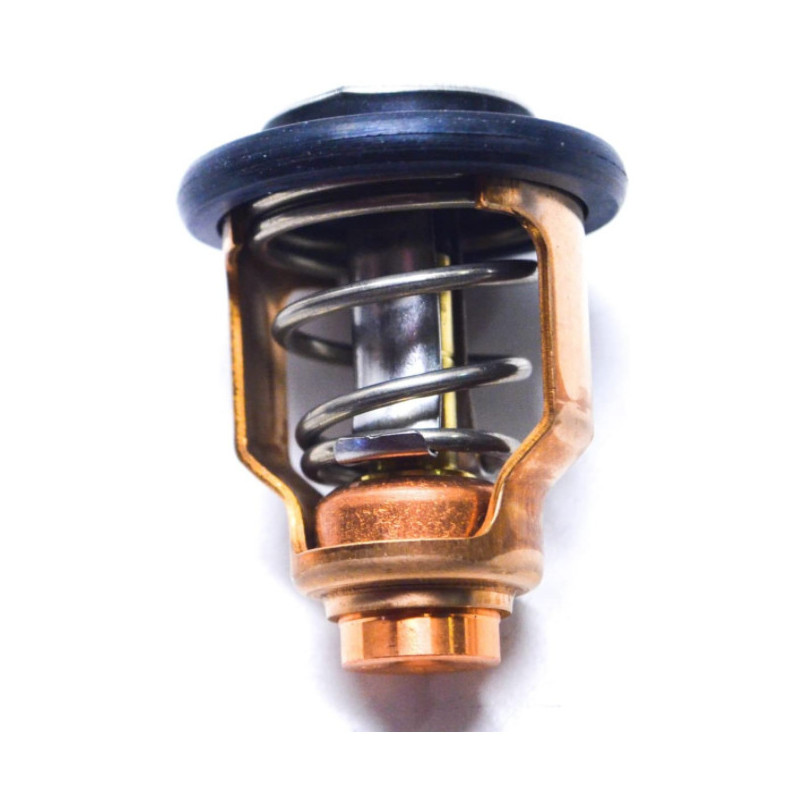 Thermostat Suzuki DF80