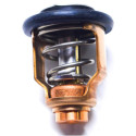 Thermostat Suzuki DF100