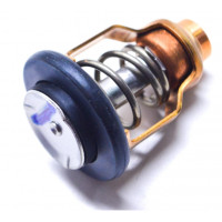 17670-90J00 / 17670-90J01 Thermostat Suzuki DF70 à DF300