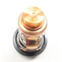 Thermostat Yamaha F75