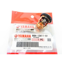 Kit Entretien Yamaha FT50G